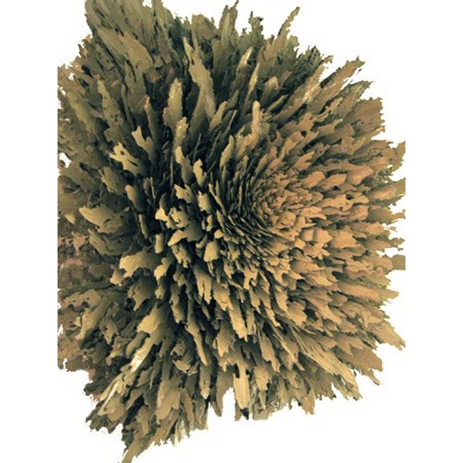 Vortice